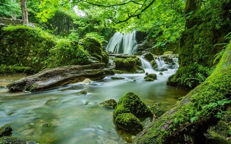 高效智能系统独特